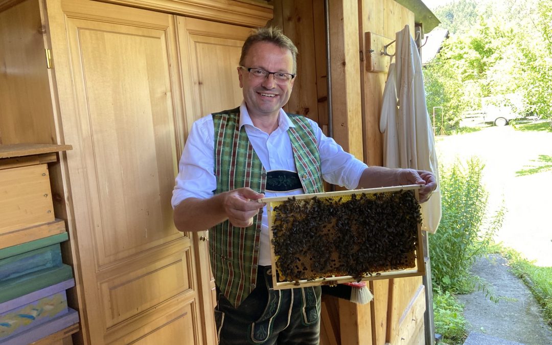 Europaabgeordneter Hannes Heide zu Besuch bei den Bienen in Bad Goisern: „100 Prozent Unterstützung beim Bienenschutz!“