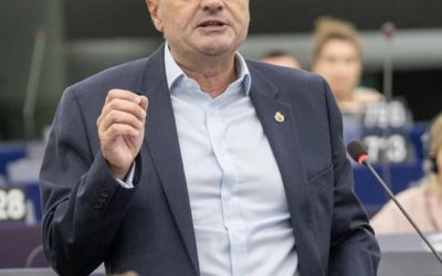 Will die EU Brennholz verbieten?