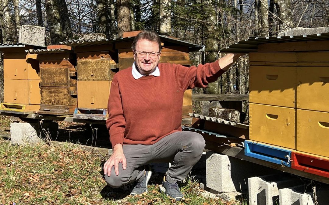 Eine bienenfreundliche Landwirtschaft für eine gesunde Umwelt!