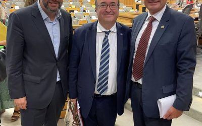 Gute Nachrichten für Kultur und BildunginEuropa – Spanische Ratspräsidentschaft mit ambitionierten Zielen